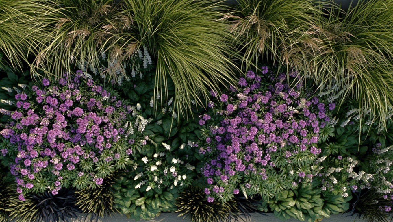 Викройка клумби Тоскана на агроволокні, сонячні місця, легка напівтінь